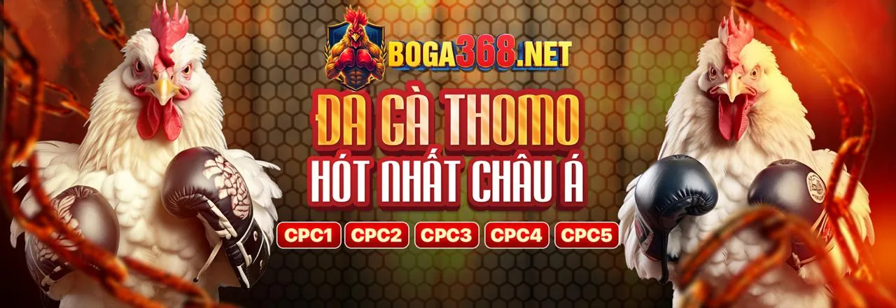 Hình ảnh chính hướng dẫn tải ứng dụng 98win1